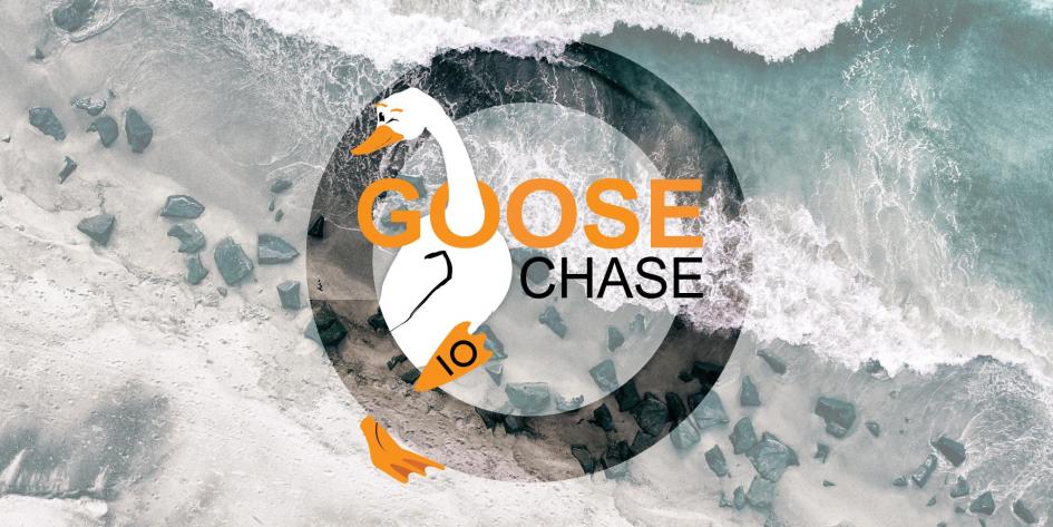 GooseChase